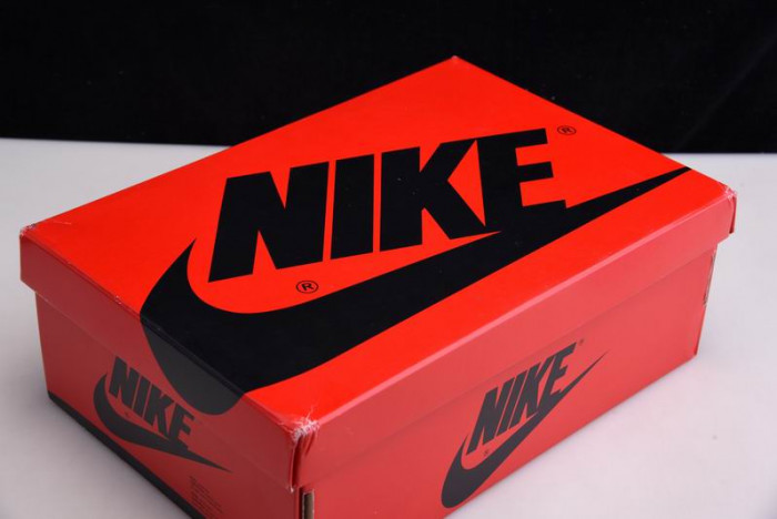 Air Jordan 1 High OG “Silver Toe” CD0461-001