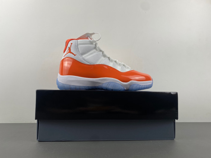 Air Jordan 11