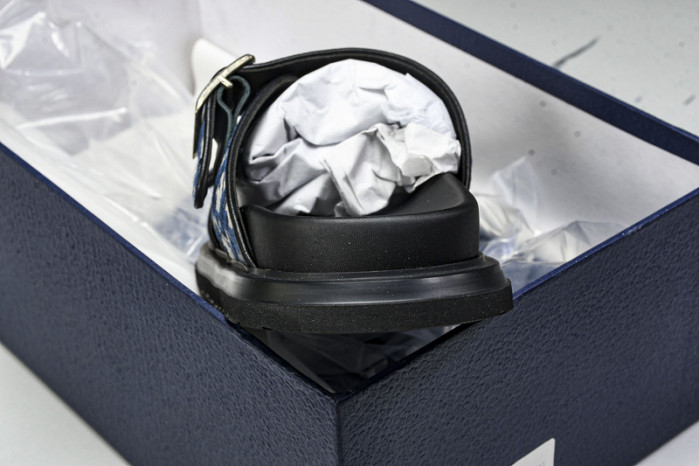 D1R* SLIDE copshoe  DR-SLIDE 013