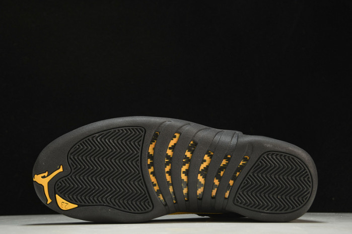 Air Jordan 12 Retro