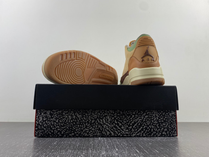 Air Jordan 3 retro CT8532-160