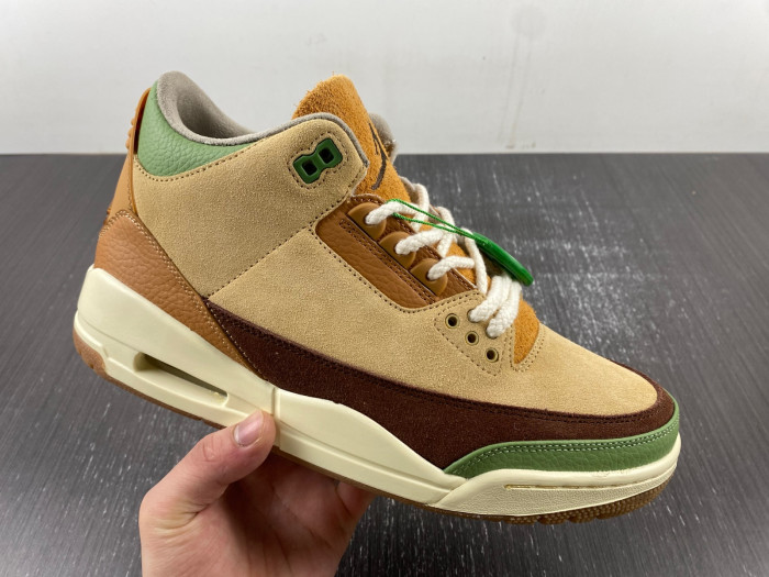 Air Jordan 3 retro CT8532-160