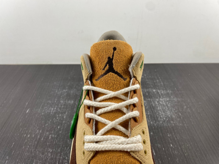 Air Jordan 3 retro CT8532-160