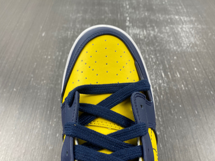 Wmns Dunk Low Disrupt 2
