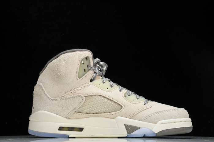 Air Jordan 5 Retro SE