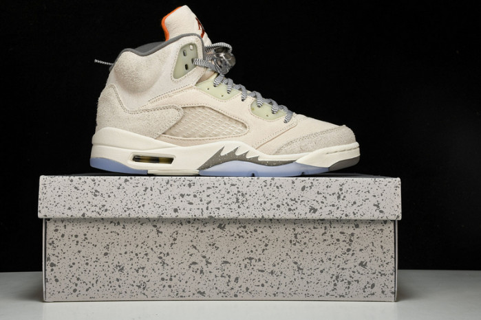 Air Jordan 5 Retro SE